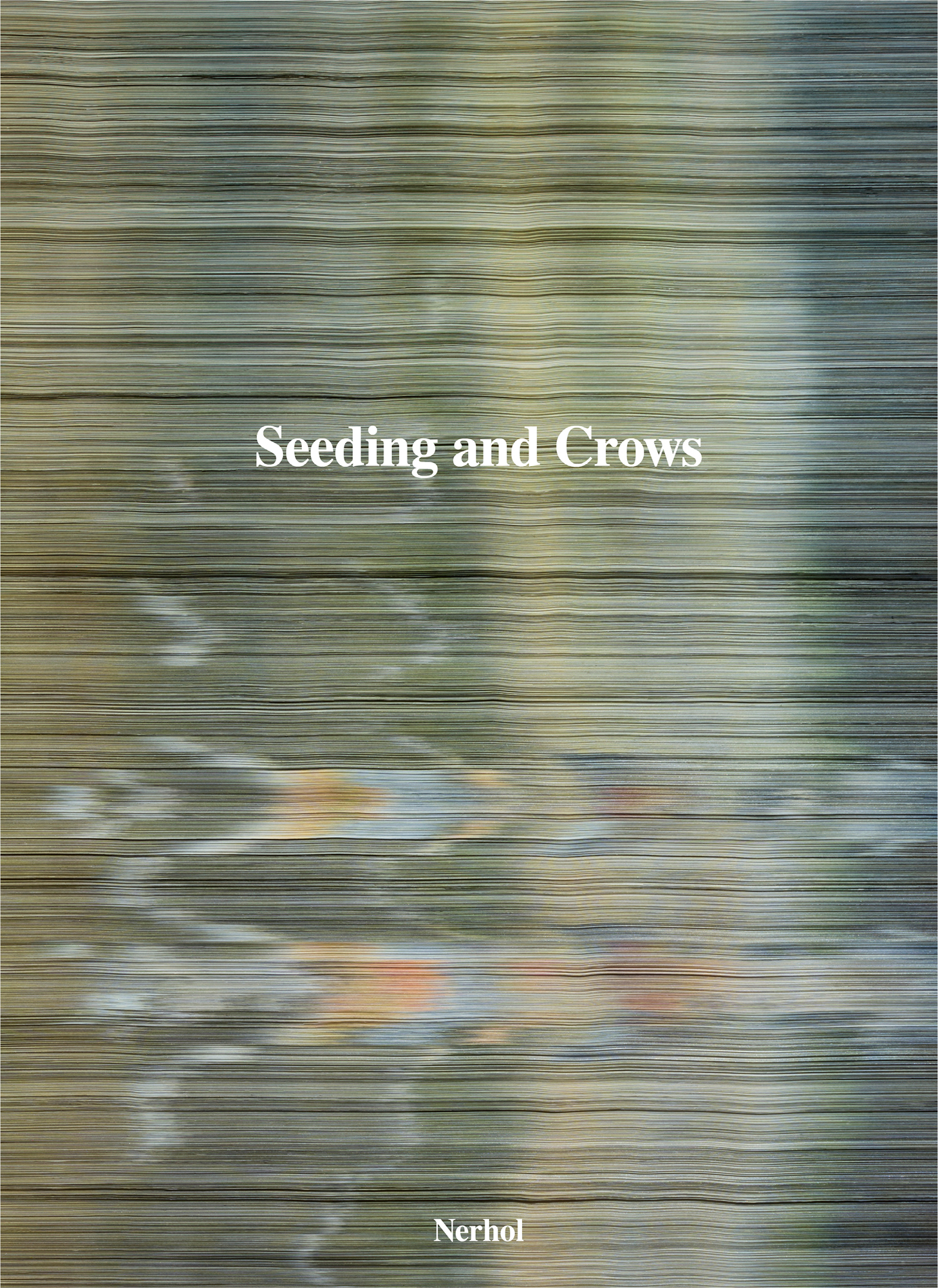 種蒔きと烏：Misreading Righteousness