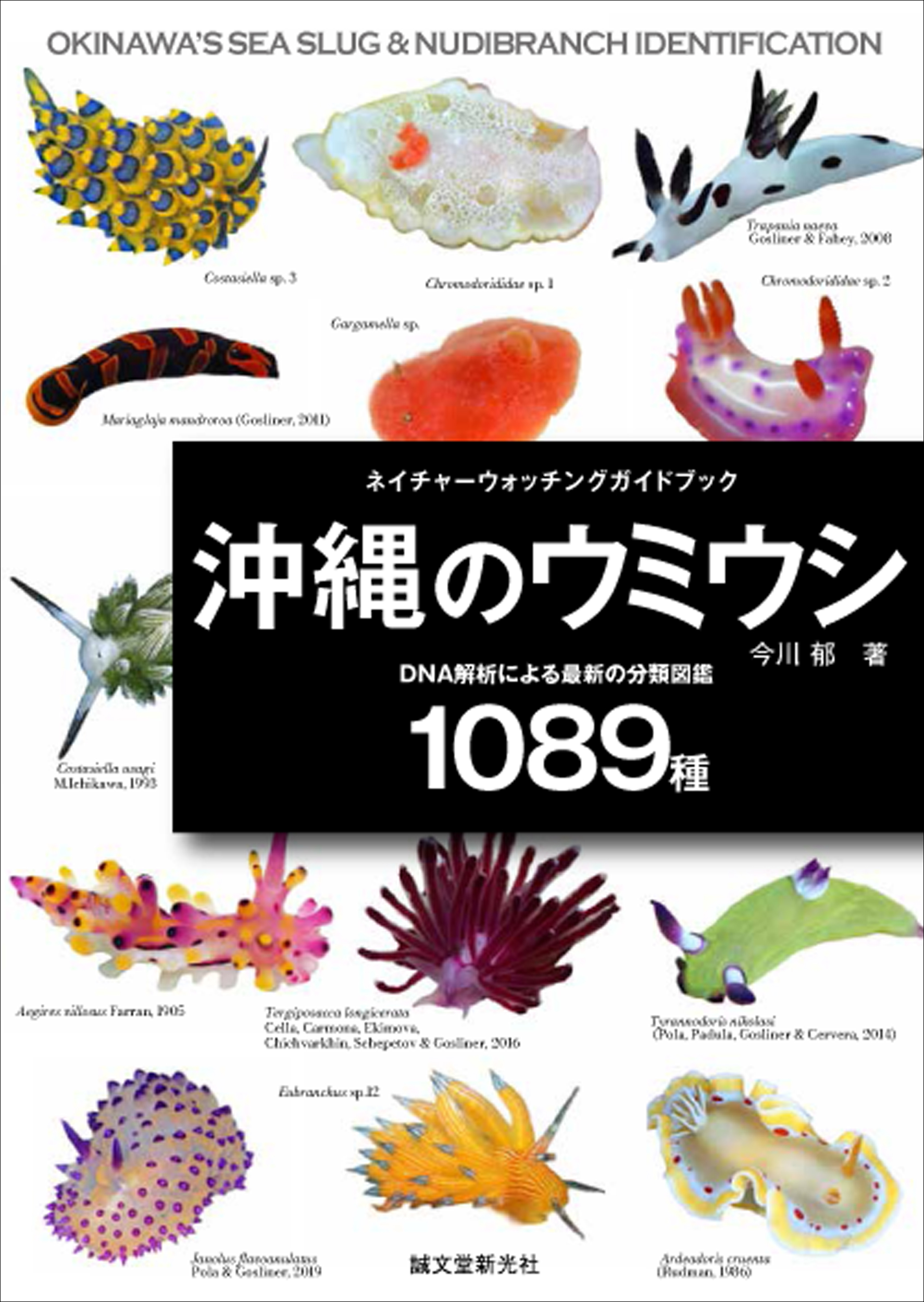 沖縄のウミウシ：DNA解析による最新の分類図鑑1089種