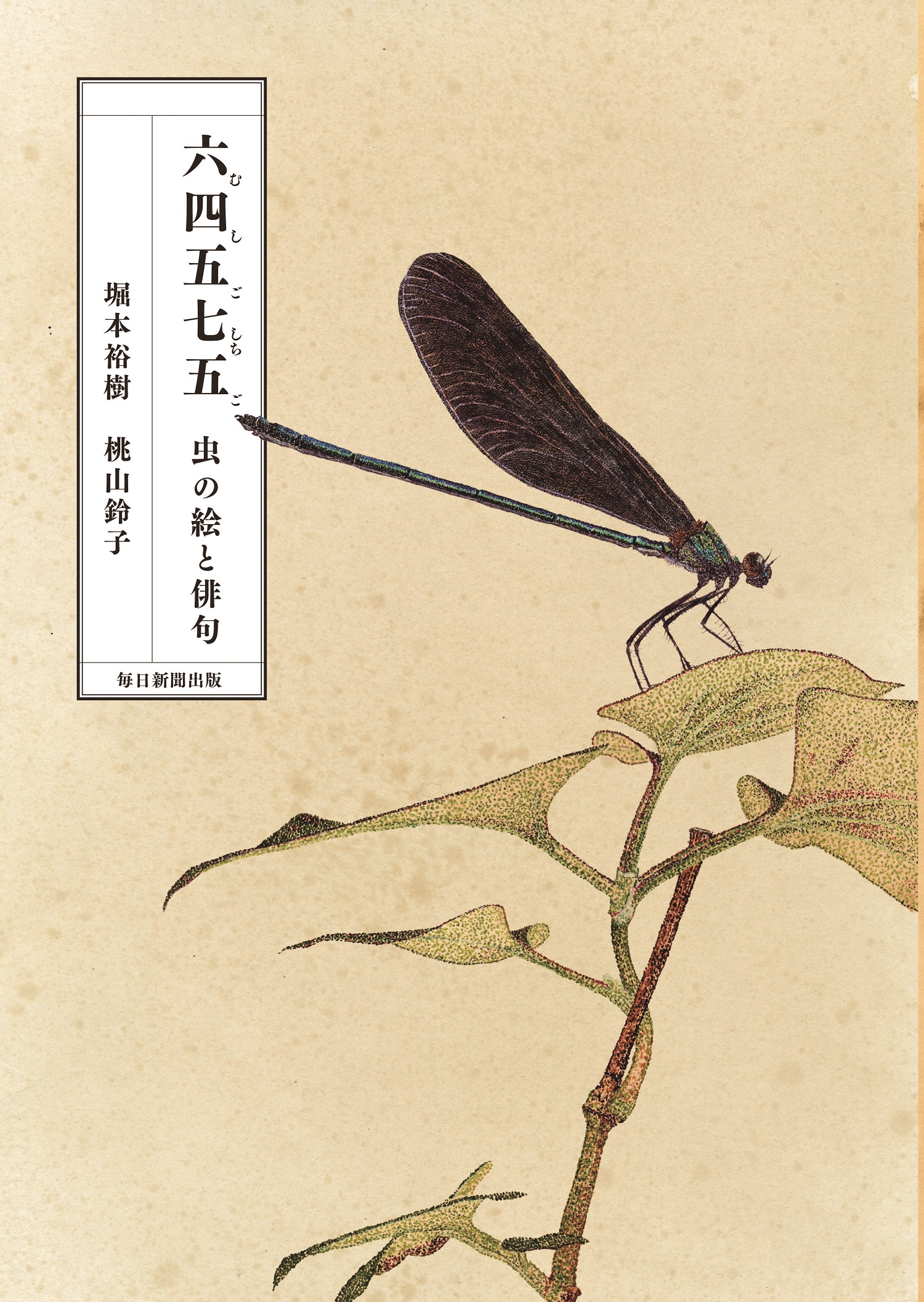 六四五七五:虫の絵と俳句