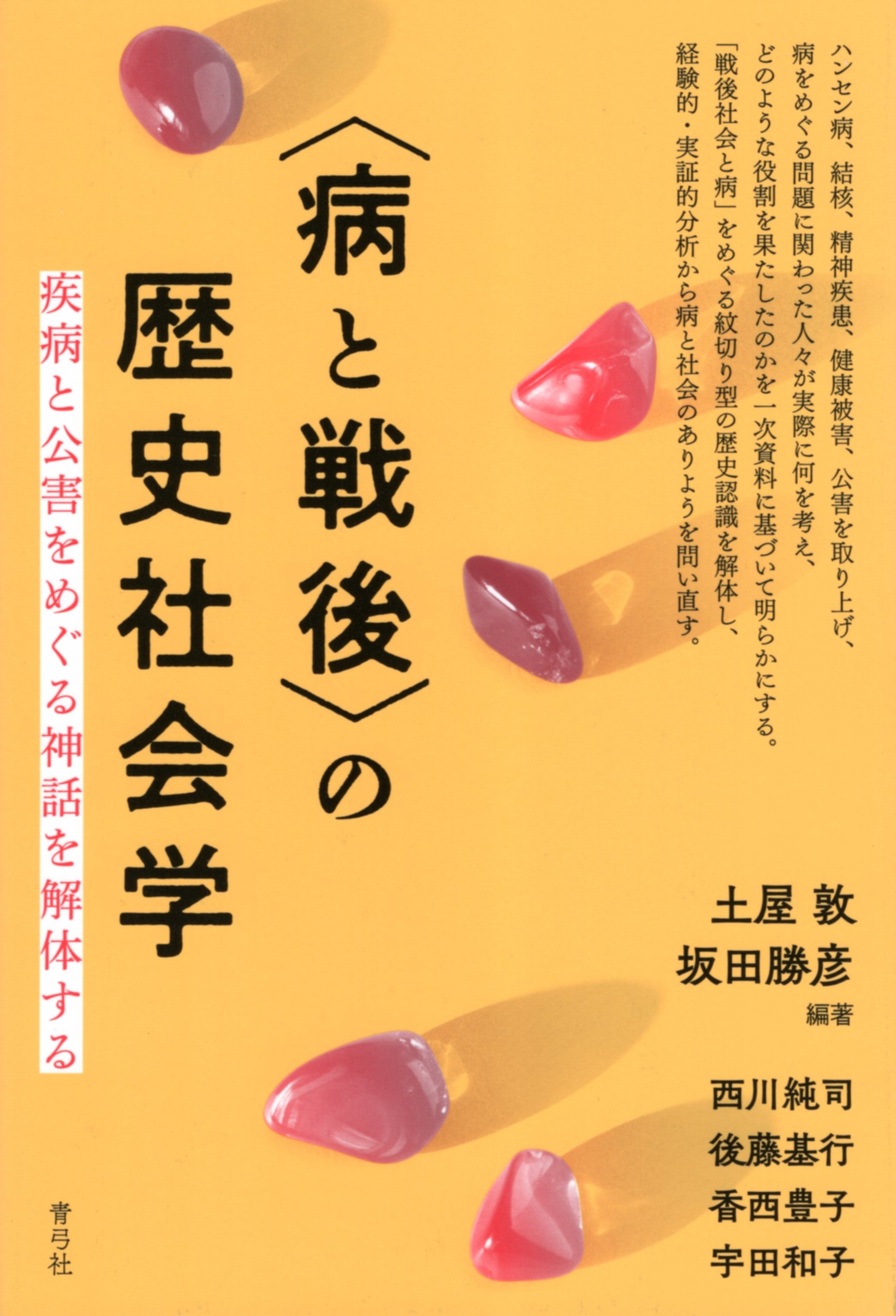 〈病と戦後〉の歴史社会学 ：疾病と公害をめぐる神話を解体する