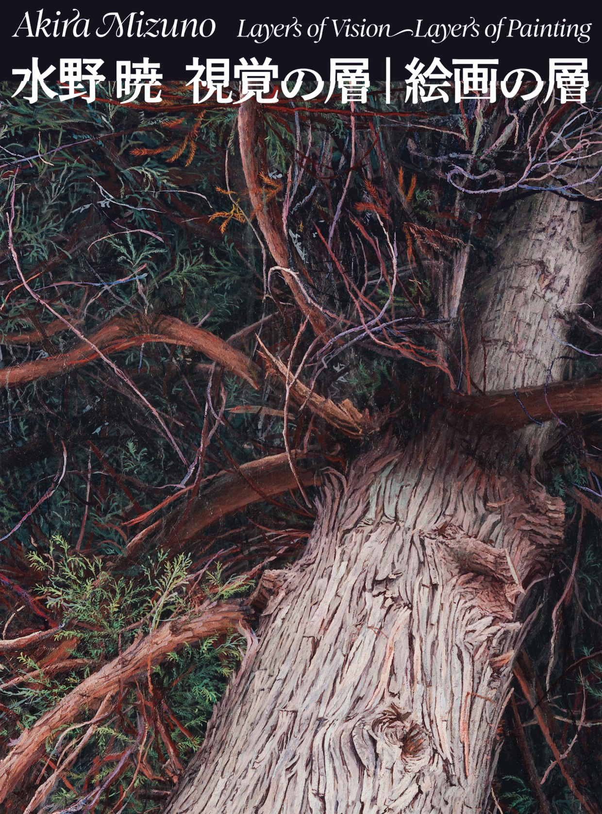 水野暁　視覚の層｜絵画の層